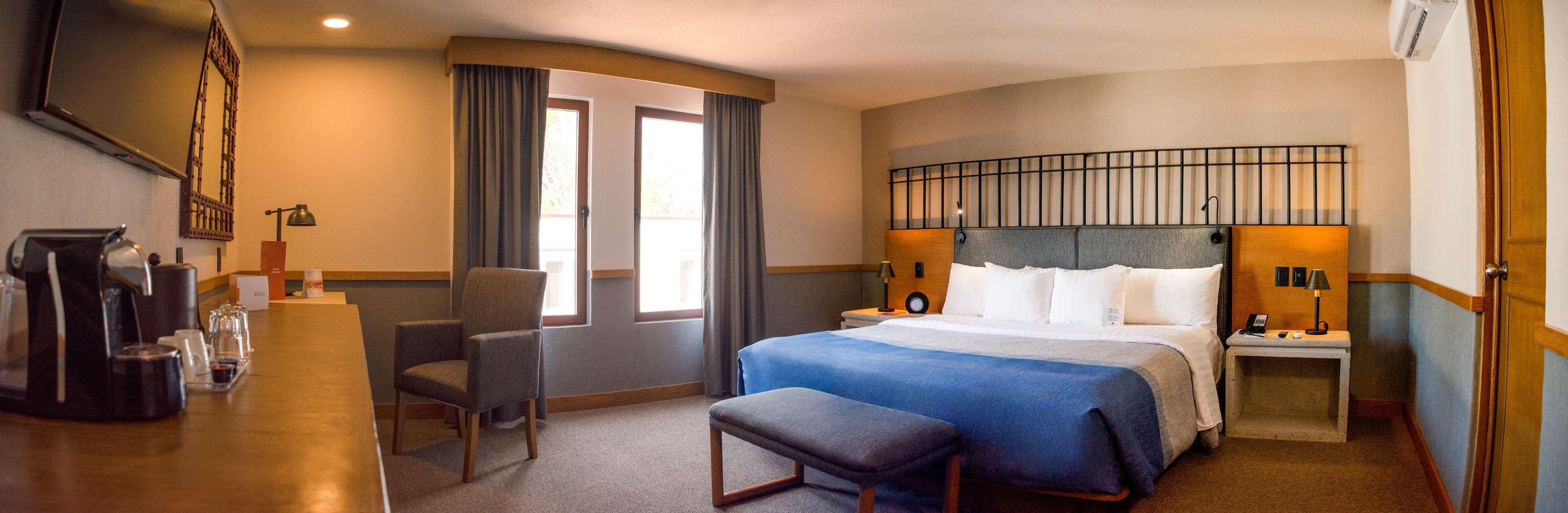 Hacienda Jurica By Brisas Hotel Queretaro Ruang foto A room at the Hotel Indigo in Paris